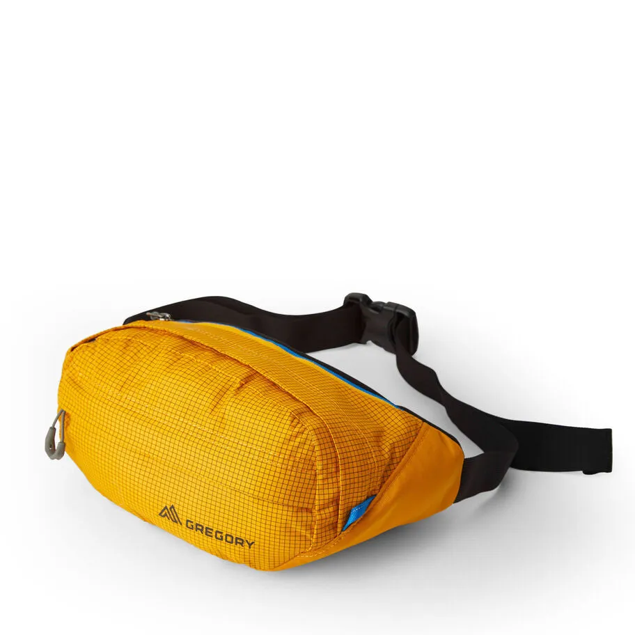 Gregory Nano Waistpack