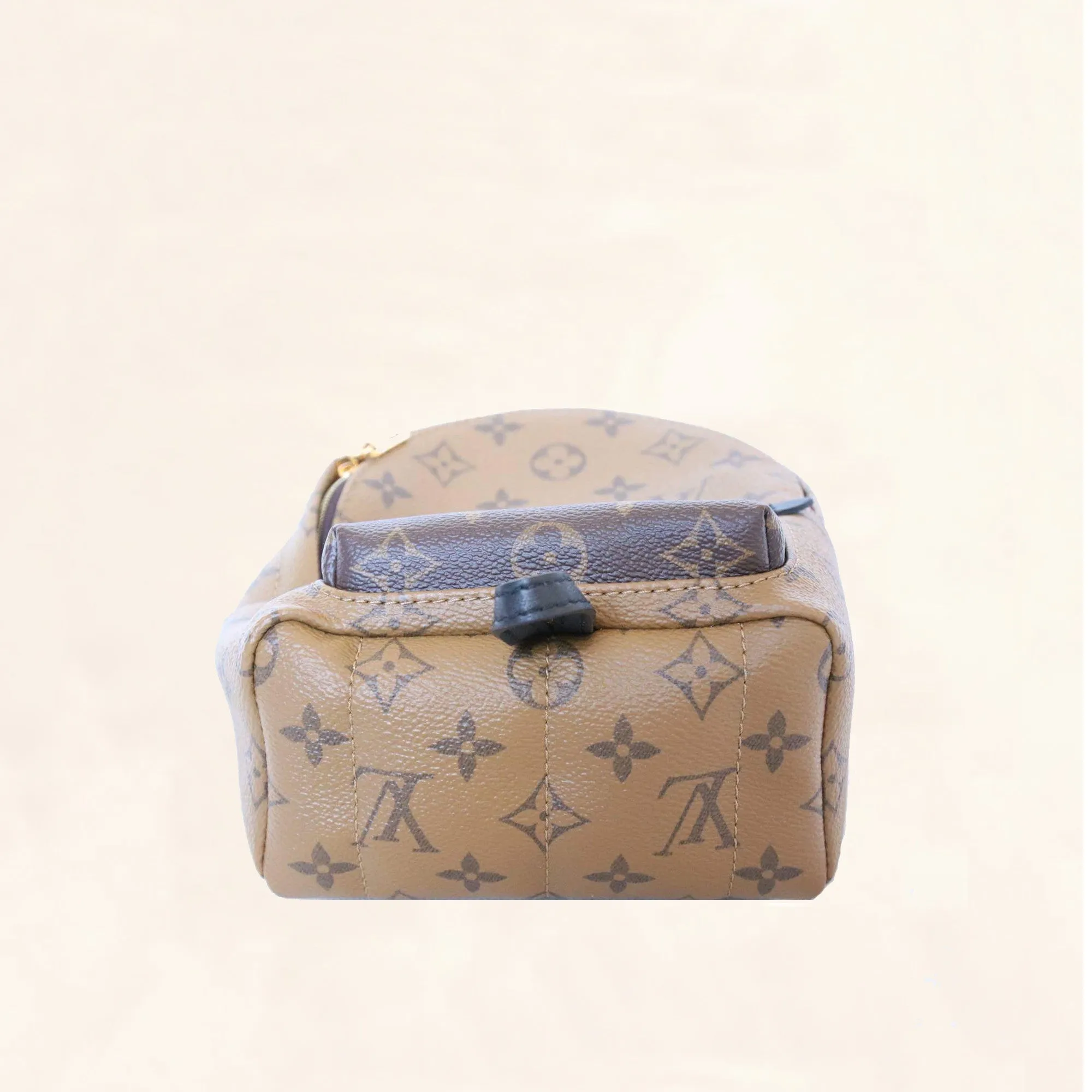 Louis Vuitton | Reverse Monogram Palm Springs Backpack | Mini