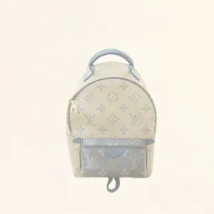 Louis Vuitton | Reverse Monogram Palm Springs Backpack | Mini